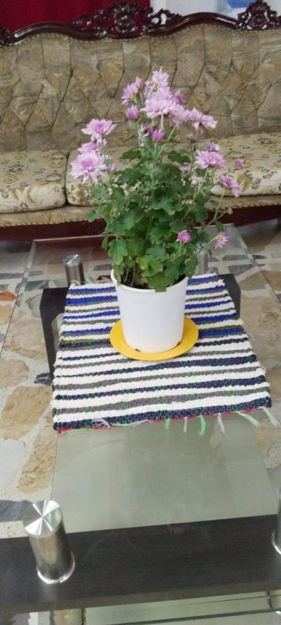 אנגלס 2 Hotel Saleh מראה חיצוני תמונה